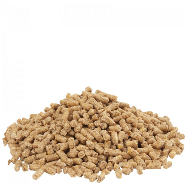 Country's Best Dindo 2.1 Pellet von Versele-Laga, 20kg