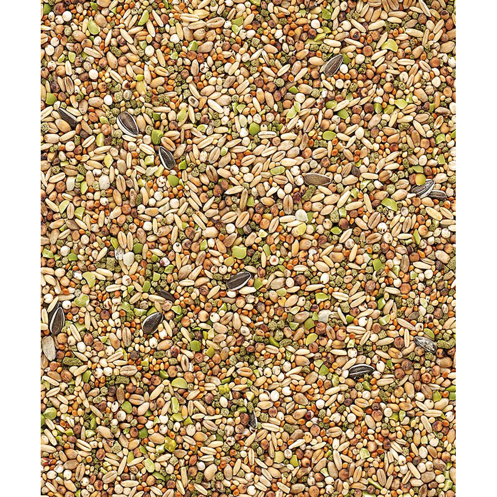 Country's Best Snack Garden Mix, 1kg