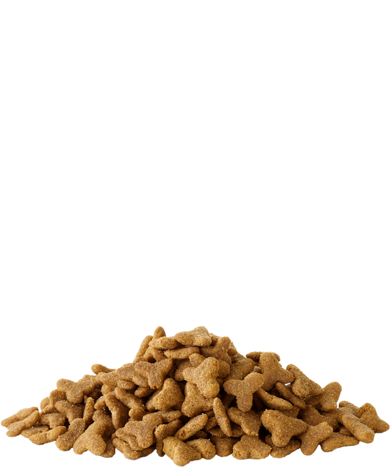 Crispy Extruded Pellets Ferret von Versele-Lag, offen