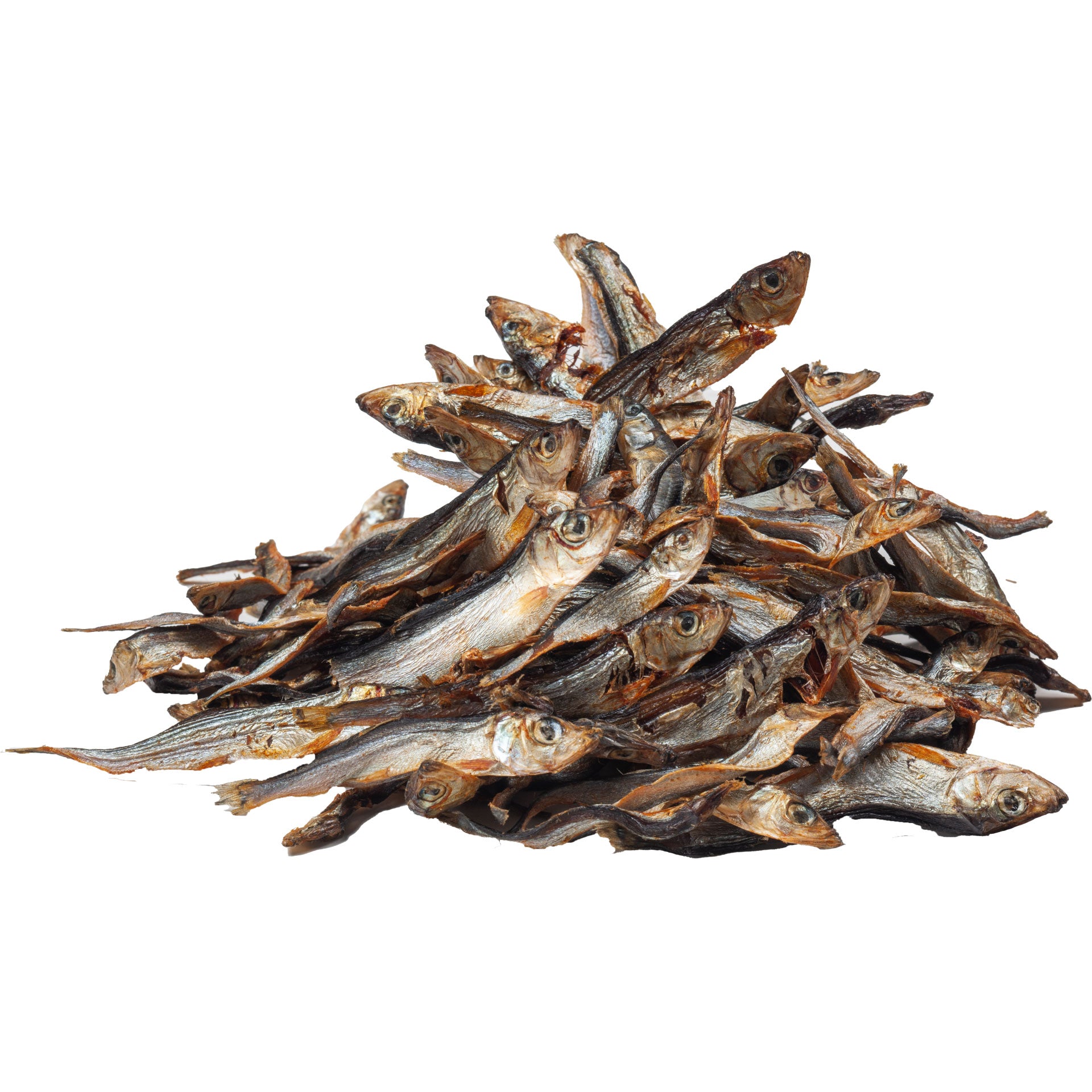 Dibo Fisch