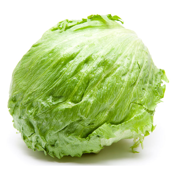 Frischer Eisbergsalat online kaufen | Knackig & erfrischend