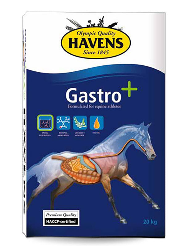 Havens Gastro+ 20kg