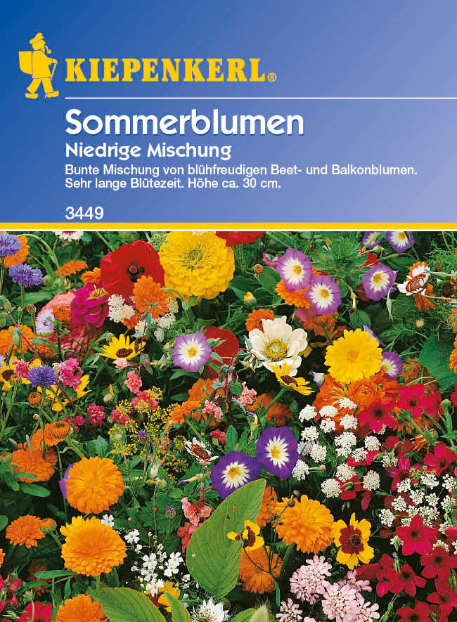 Kiepenkerl Niedrige Sommerblumenmischung