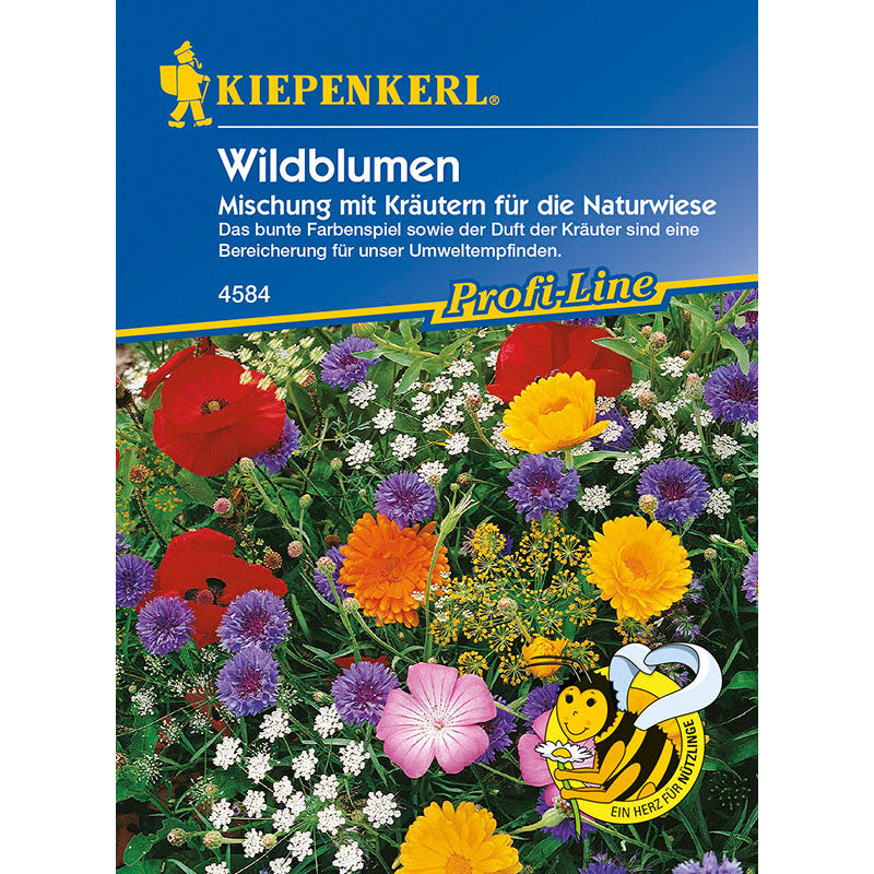 Kiepenkerl Wildblumen, ein- und mehrjährig