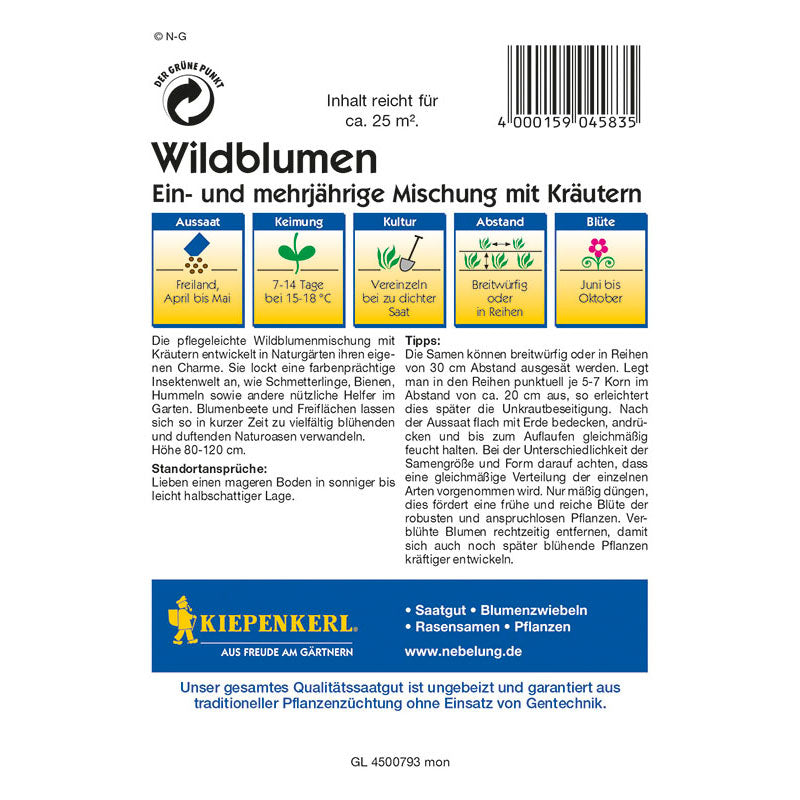 Kiepenkerl Wildblumen Mischung mit Kräutern, Megapack