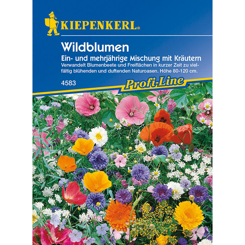 Kiepenkerl Wildblumen Mischung mit Kräutern, Megapack