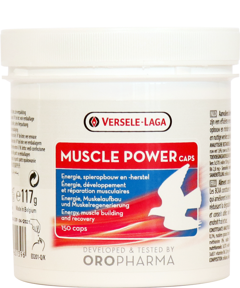 Muscle Power, 50 Kapseln