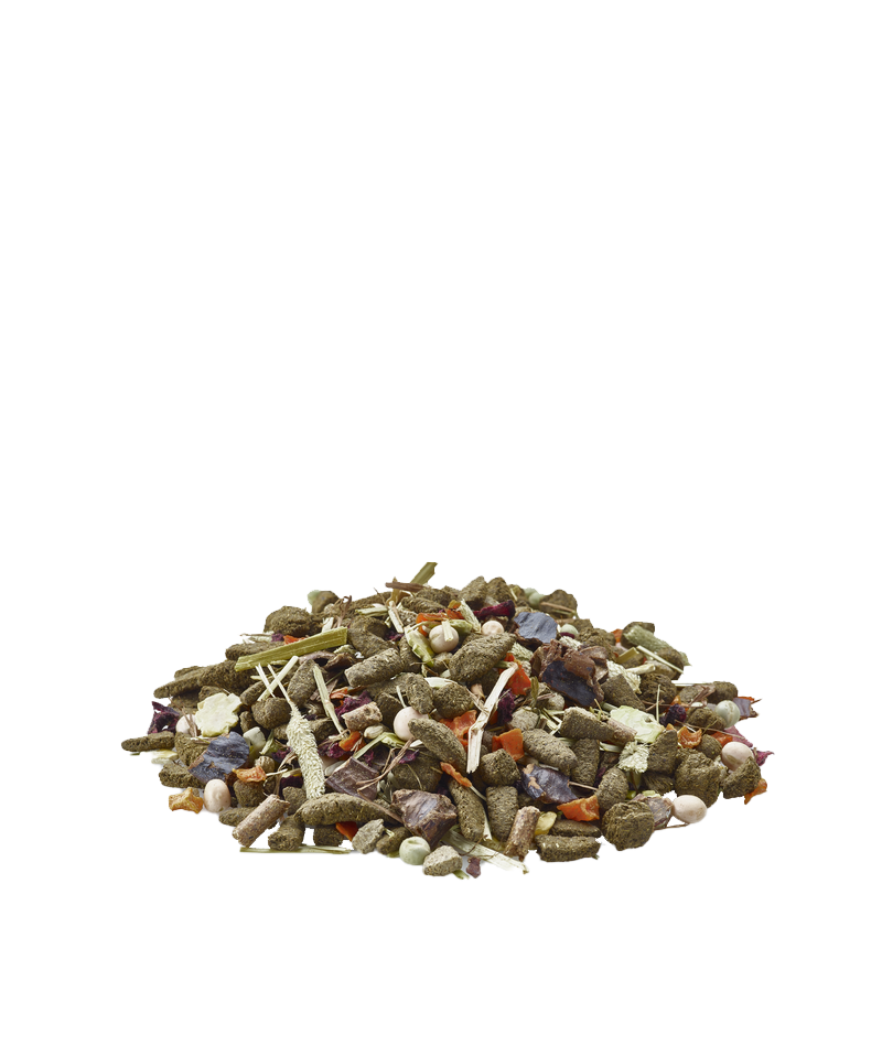 Nature Cuni Junior von Versele-Laga, offen