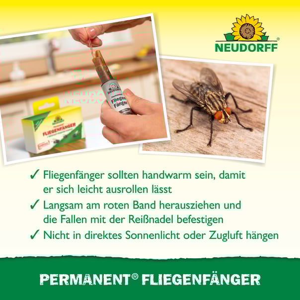 Neudorff Permanent FliegenFänger, 4 Stück Beschreibung