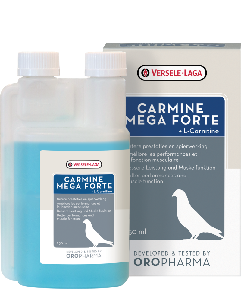 Oropharma Carmine Mega Forte, 250ml
