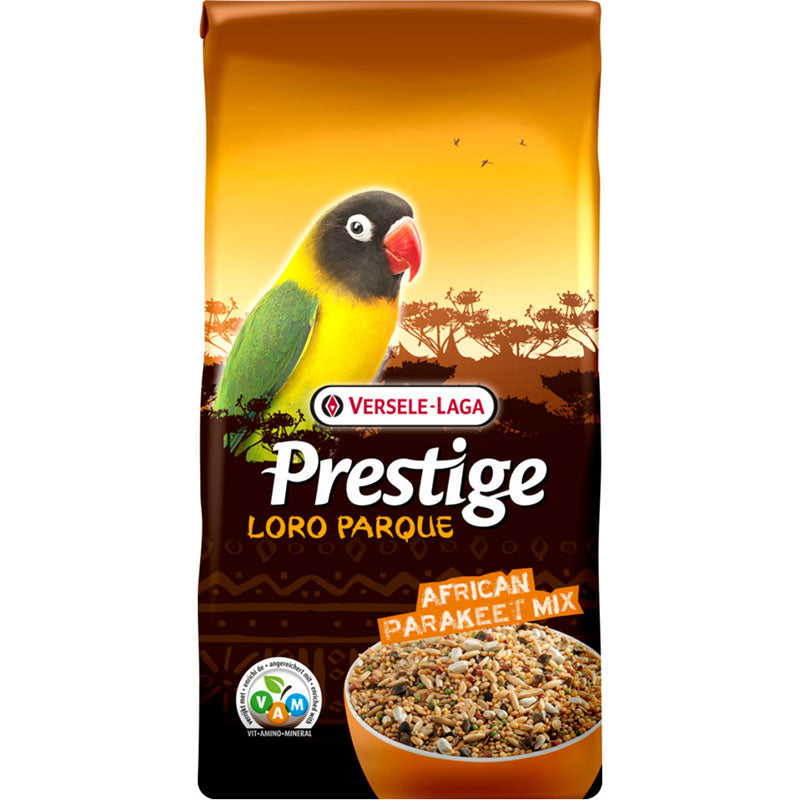 Prestige Premium African Parakeet