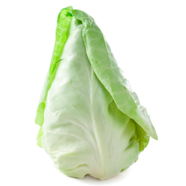 aufbewahrung spitzkohl Frischer Spitzkohl online kaufen