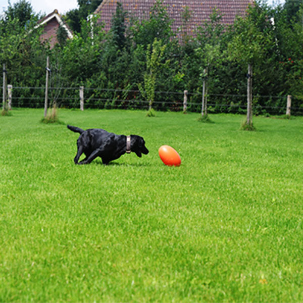 Dog Comets Ball Pan-Stars (Orange)