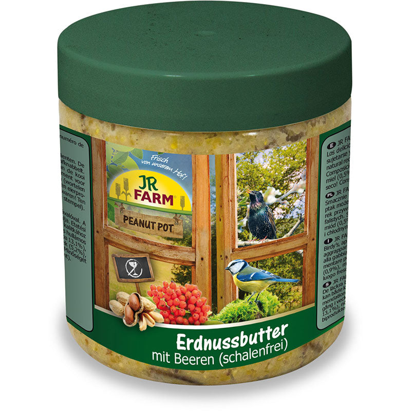 JR FARM Peanut Pot Erdnussbutter mit Beeren, 400g